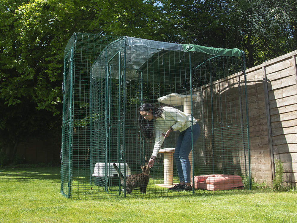 Outdoor Cat Run Porch Outdoor Cat Run Porch