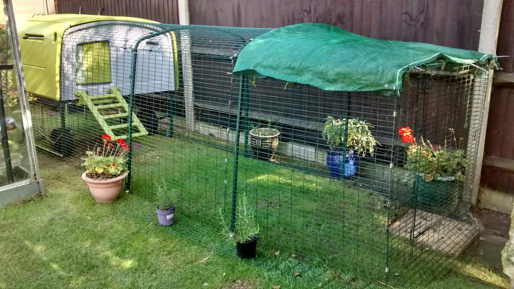 Eglu Cube Mk1 1m Run Extension Chicken Runs Chicken Netting