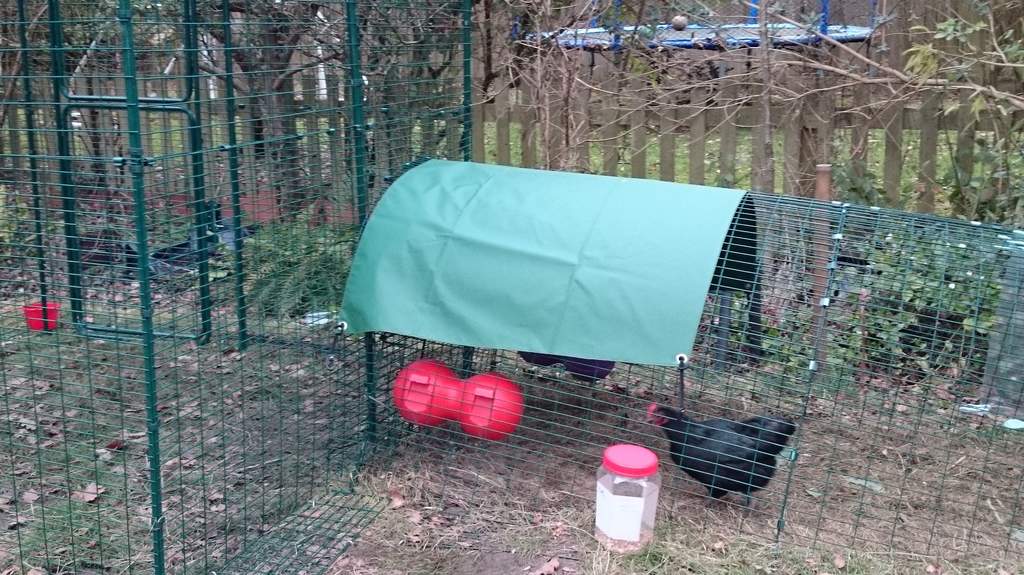 Heavy Duty Cover for Eglu Classic Extension Eglu Rabbit Weather