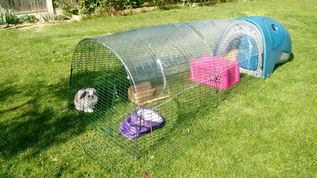 Eglu classic rabbit hutch hot sale