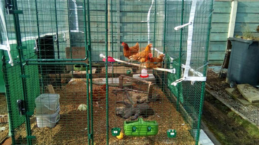 Omlet Chicken Perch 2 Meters Chicken Toys Accessories