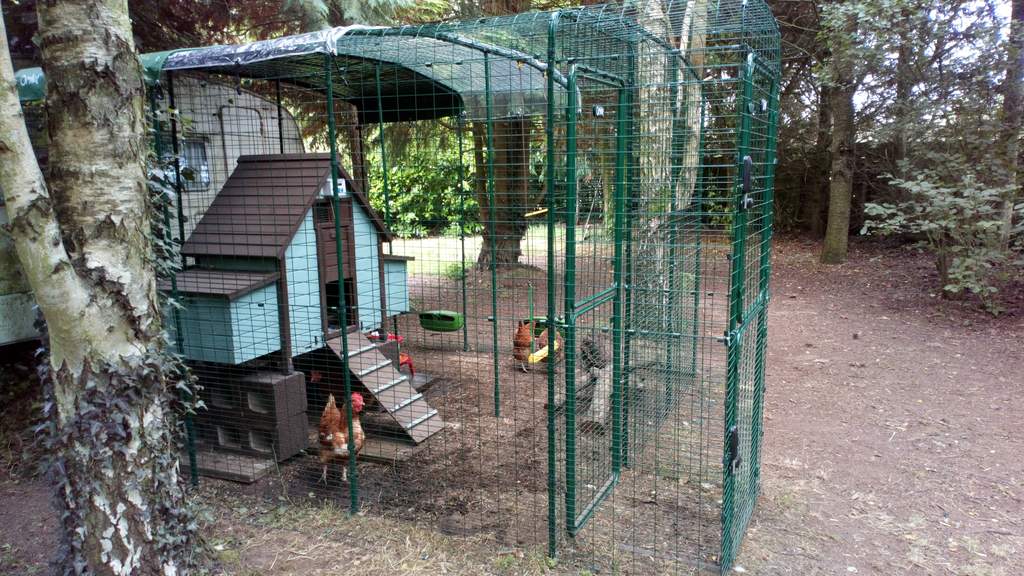 Walk In Chicken Run Porch