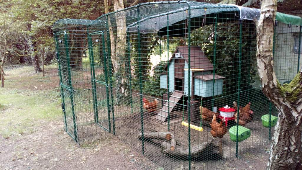 Walk In Chicken Run Porch