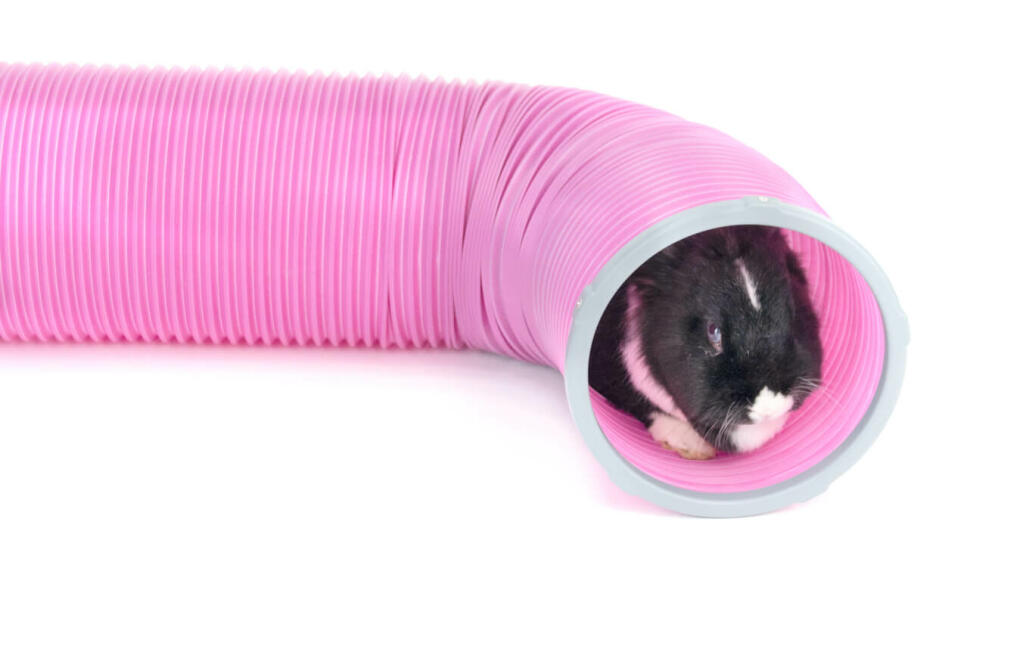 Rabbit Play Tunnel Omlet