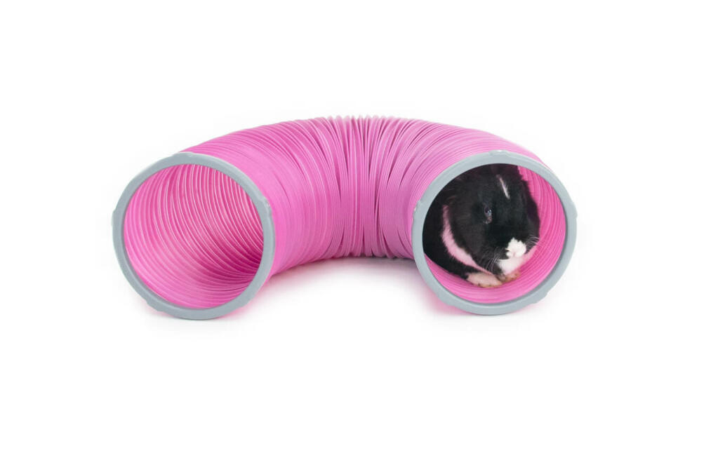 Rabbit Play Tunnel with Connector Rings Rabbit Run Accessories