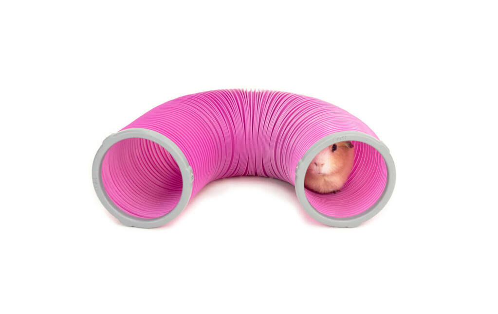 Guinea Pig Connector Rings Guinea Pig Run Accessories