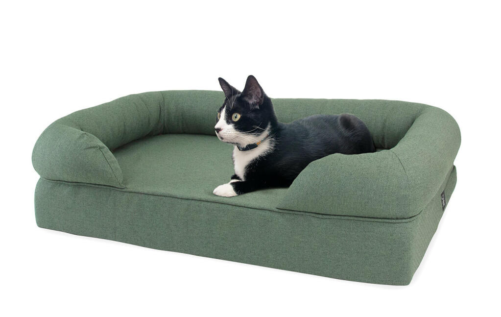 Memory Foam Bolster Cat Bed Medium Green Cat Beds Outdoor Cat