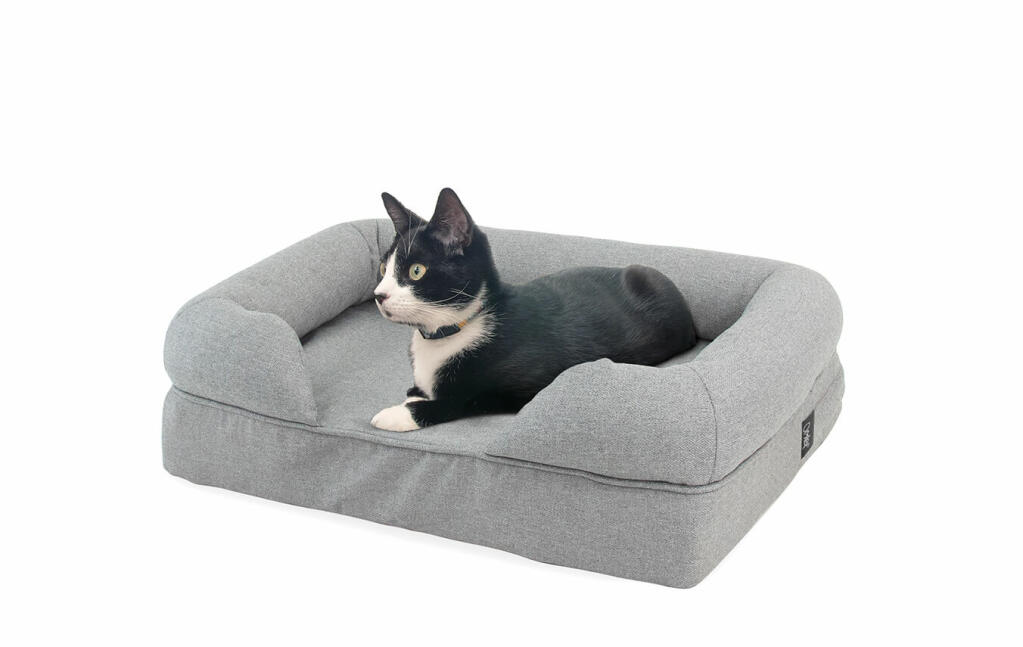 memory foam cat bed