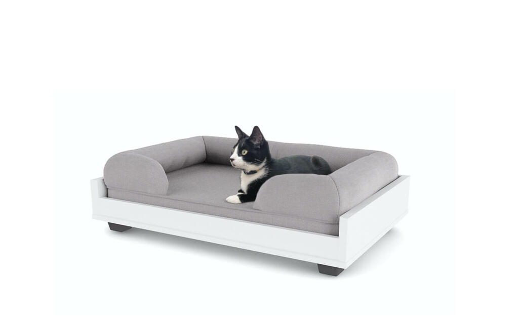 cat couch bed