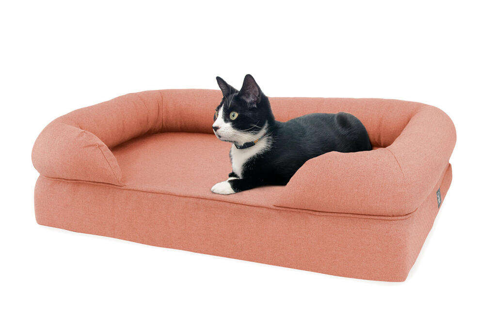 cat couch bed