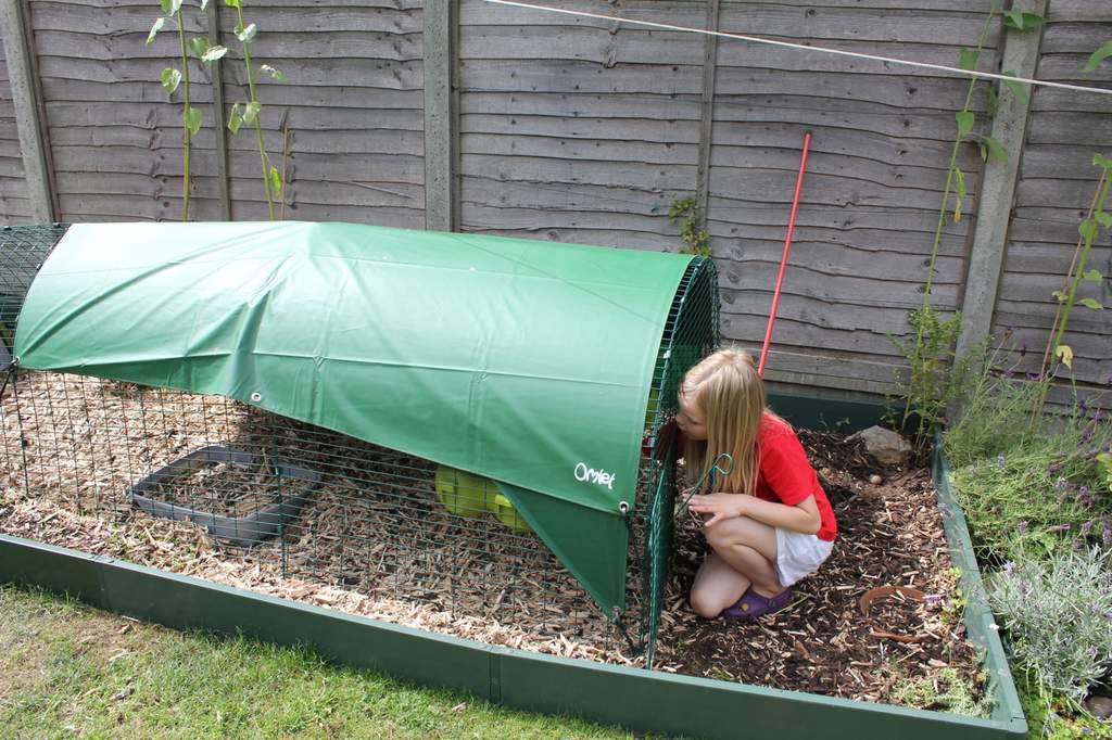 Heavy Duty Cover for Eglu Classic Full Length Eglu Coop Weather