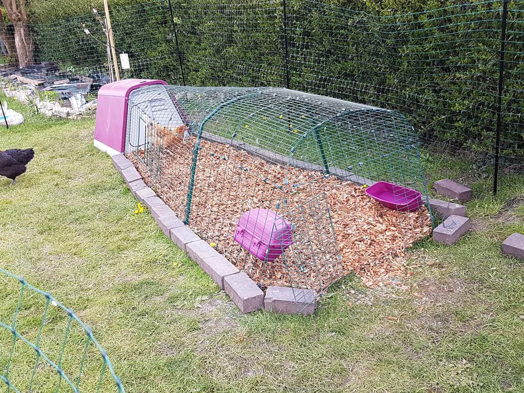 1m Run Extension for Eglu Go Chicken Runs & Chicken Netting Chicken