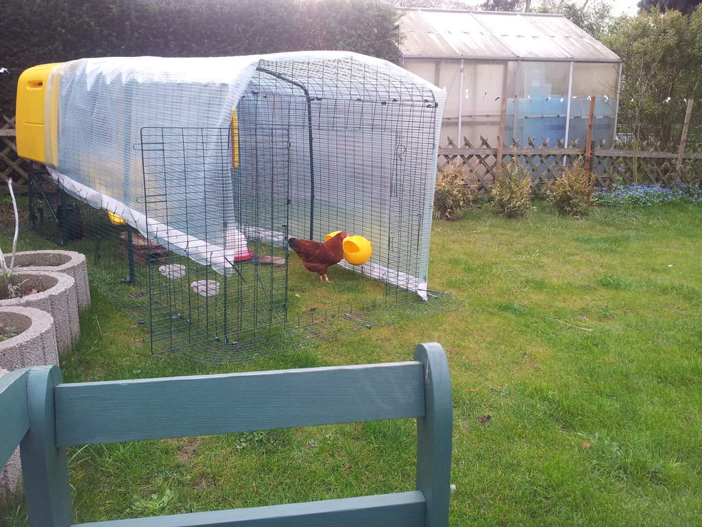 Eglu Cube Mk1 1m Run Extension Chicken Runs & Chicken Netting
