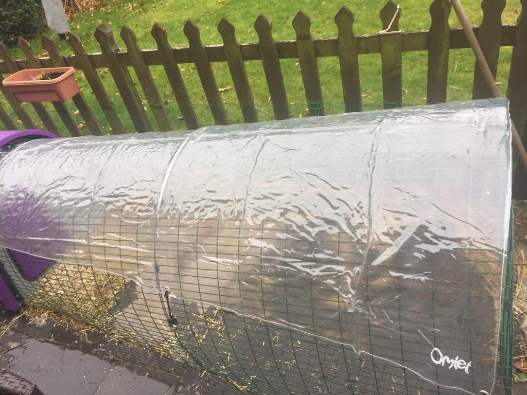 Clear Cover for Eglu Classic Full Length Eglu Rabbit Weather Protection Rabbit Hutches