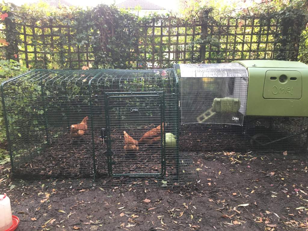Clear Cover for Eglu Cube - 1m Eglu Coop Weather 