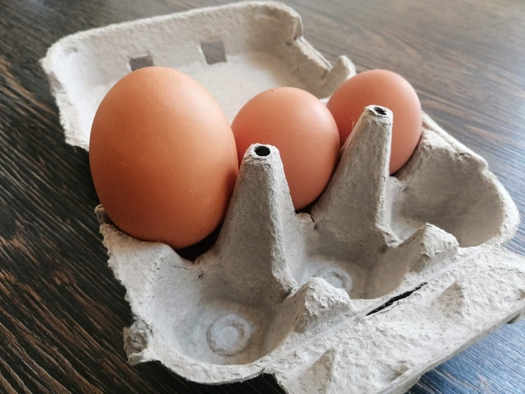 Egg Boxes Grey Pack of 20 Egg Trays, Boxes & Stamping