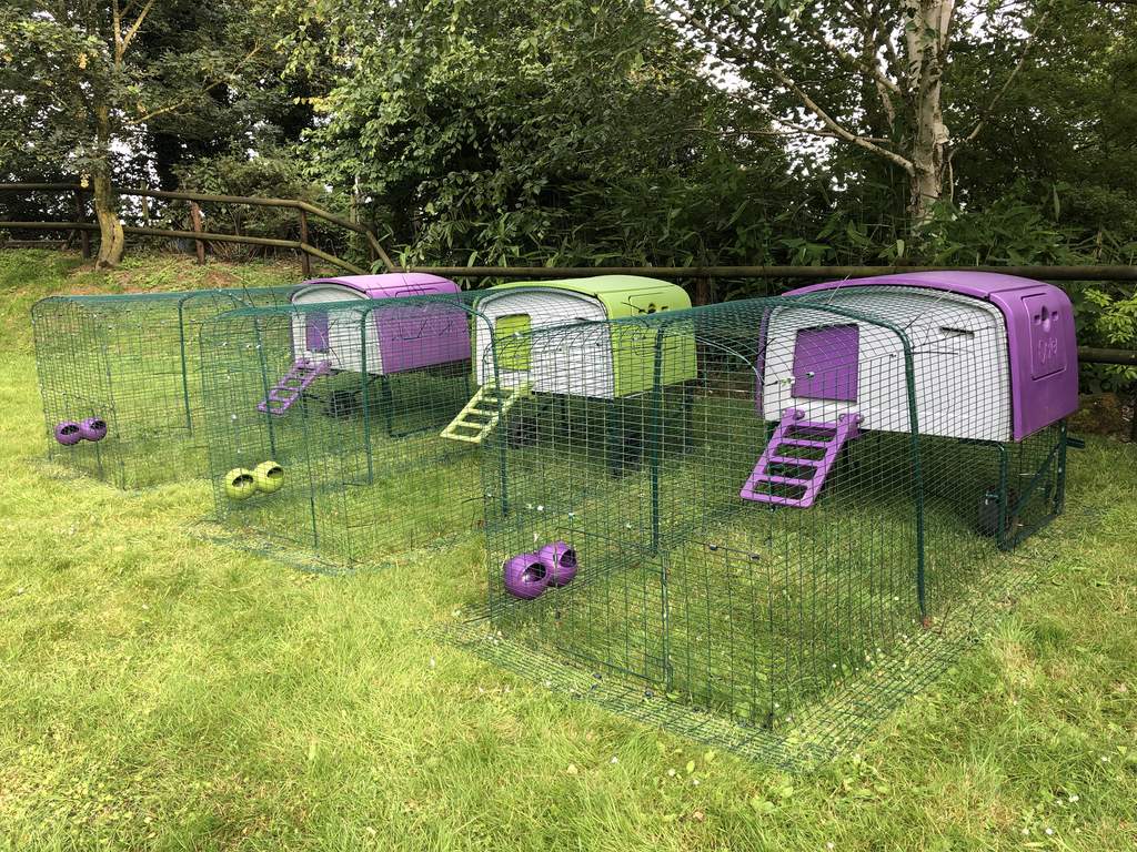 Eglu Cube Mk1 1m Run Extension