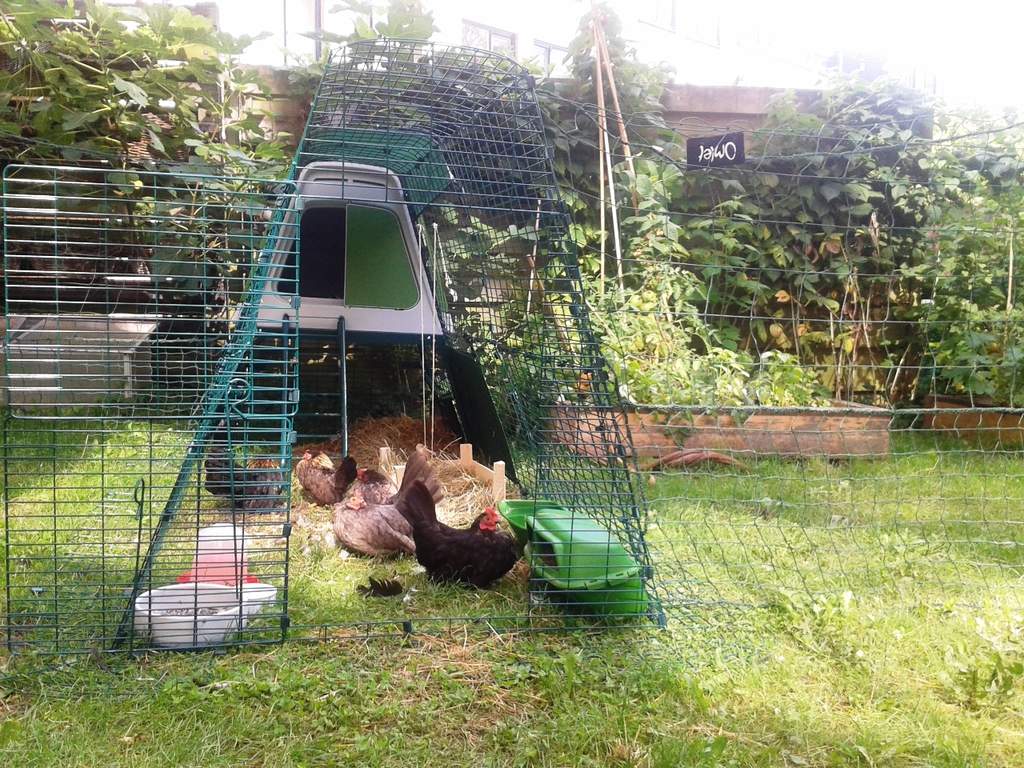 Eglu Go UP Chicken Coop Wheel Set Eglu Parts and Spares Chicken