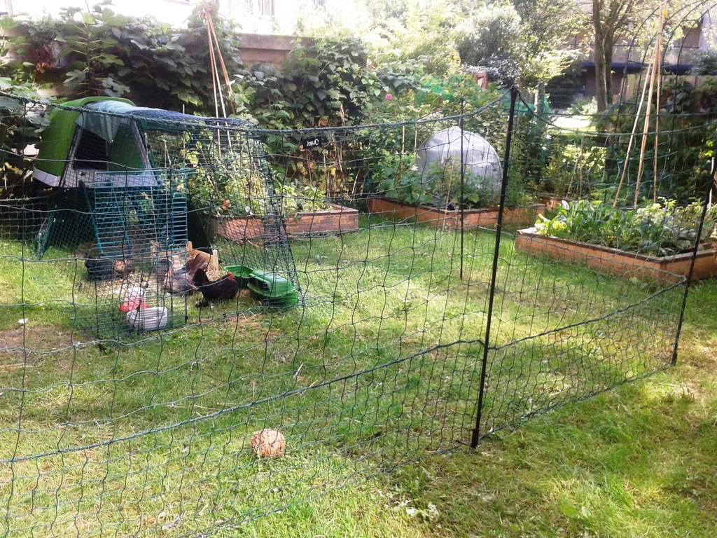 Eglu Go UP Chicken Coop Wheel Set Eglu Parts and Spares Chicken