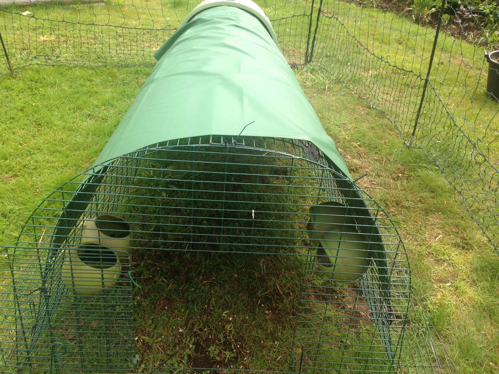 Heavy Duty Cover for Eglu Classic Full Length Eglu Coop Weather