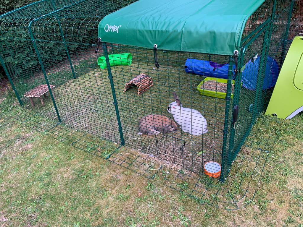 omlet guinea pig cage