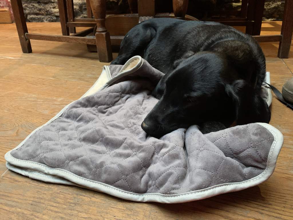 Luxury Dog Blanket