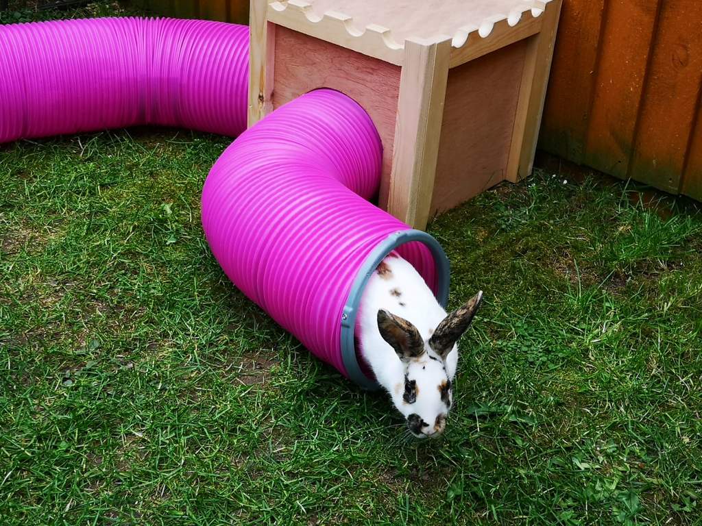 Rabbit Play Tunnel Twin Pack with Connector Rings Rabbit Run Accessories