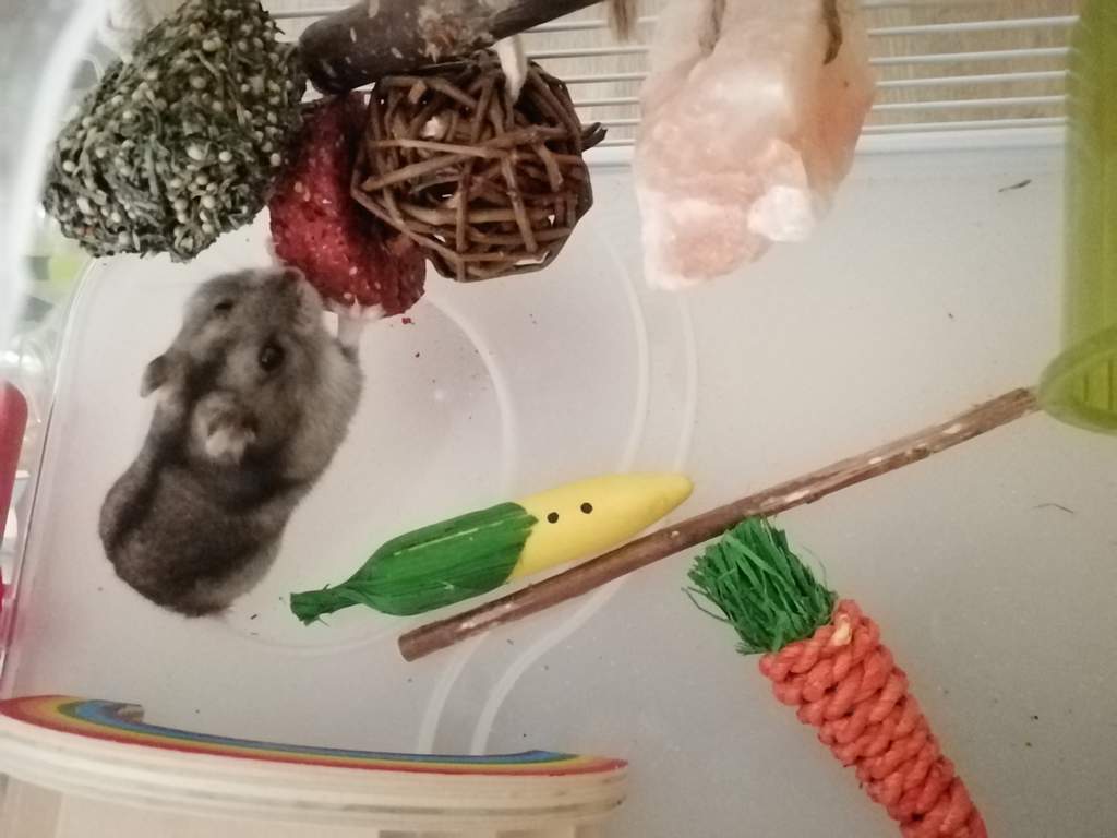 Naturals Nibble N Gnaw Stacker Rabbit Toys Rabbit Hutches, Rabbit