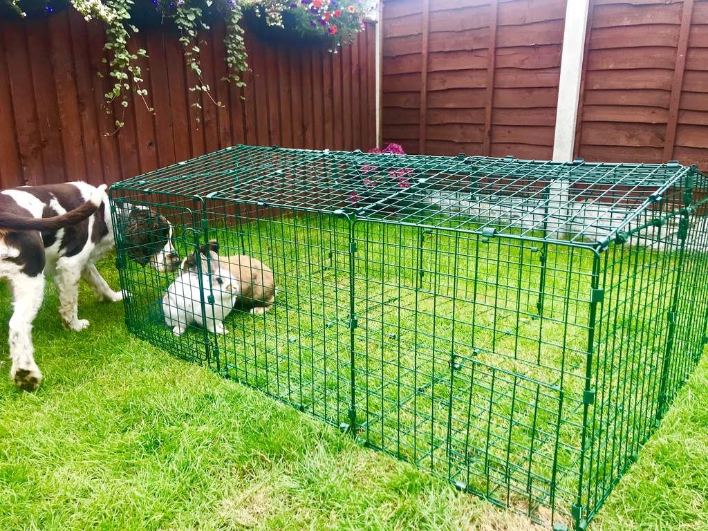 Zippi Rabbit Run with Roof and Underfloor Mesh Single Height Zippi