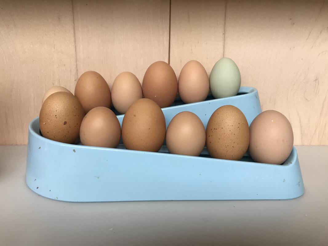 Egg Ramp Plastic Egg Holder for Storing a Dozen Eggs