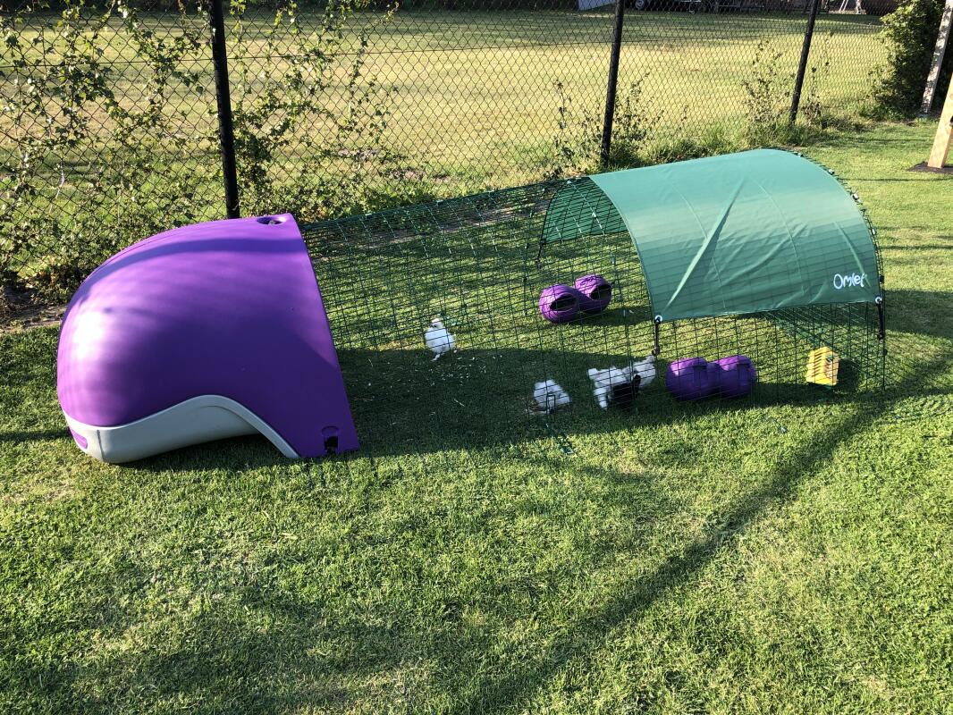 Eglu Classic Chicken Coop Chicken House for 24 Birds