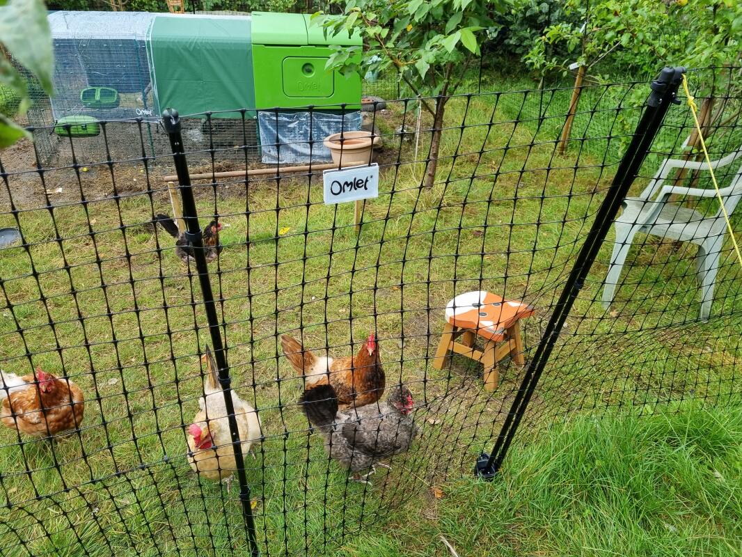 Omlet Chicken Fencing Poultry Netting for Chickens