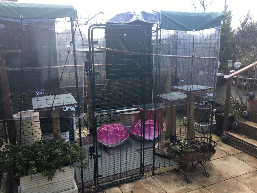 omlet outdoor cat run