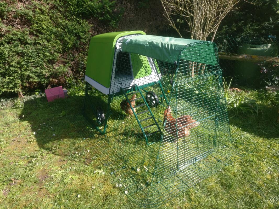 Eglu Go UP Chicken Coop Chicken House for 24 Birds