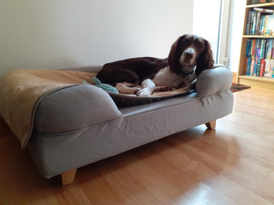 Omlet | Memory Foam Bolster Dog Beds