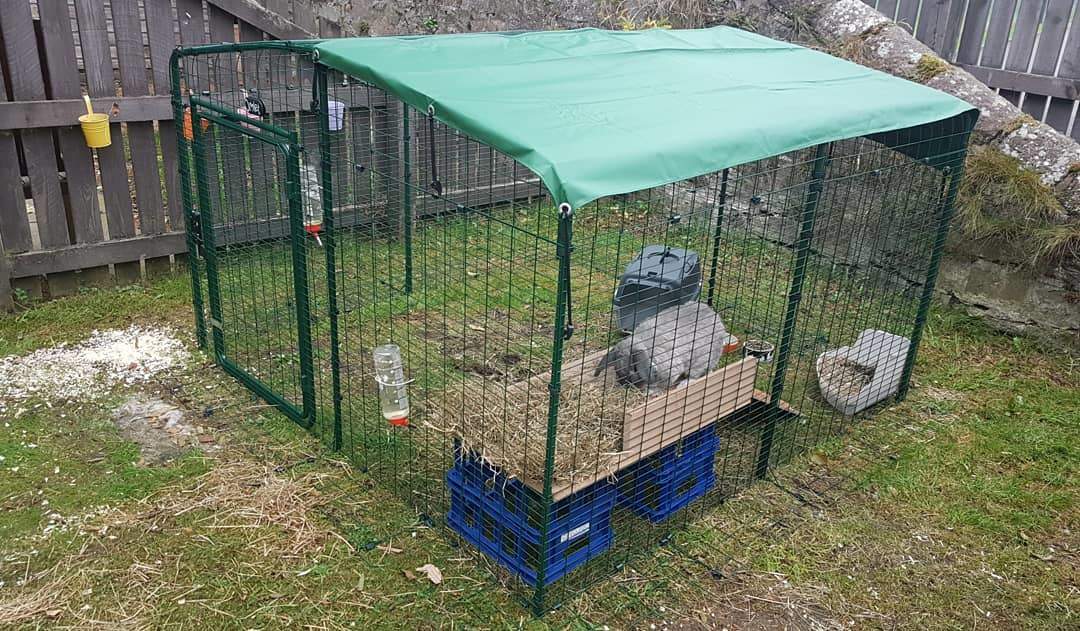 Outdoor Rabbit Run Large Outdoor Rabbit Enclosure
