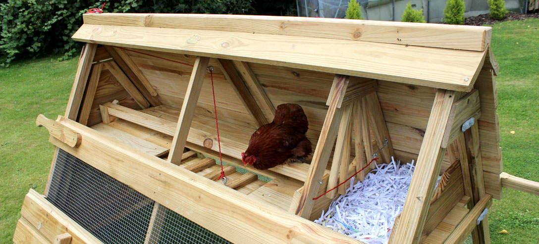 Boughton Chicken Coop | Wooden Chicken Ark for 6 Birds