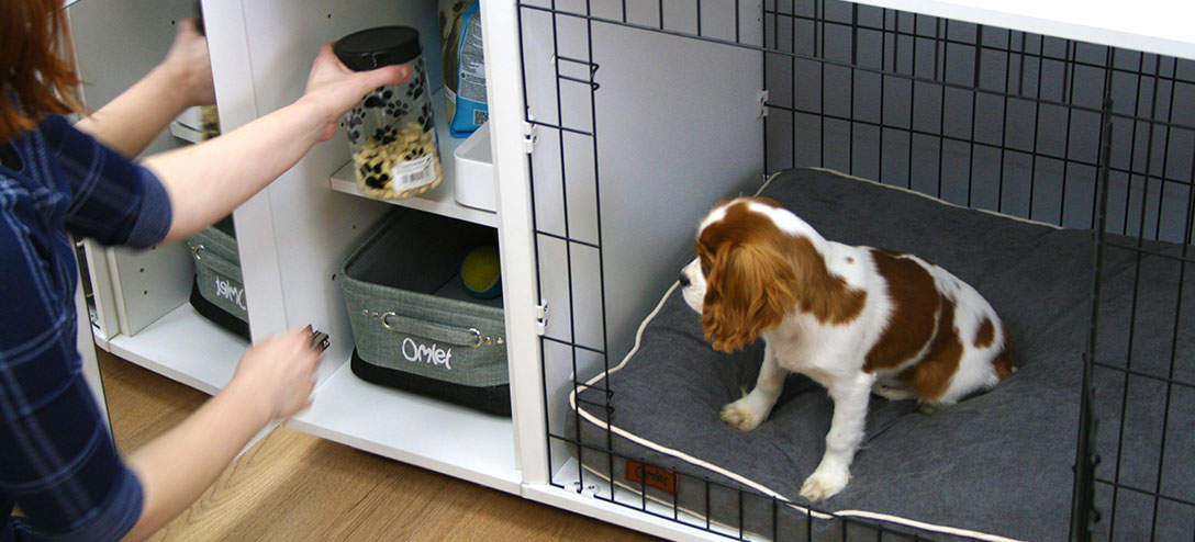 How to keep puppy calm in crate clearance
