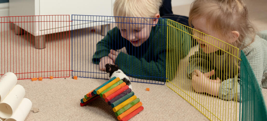 Two children watching a hamster in a pen with colourful toys.