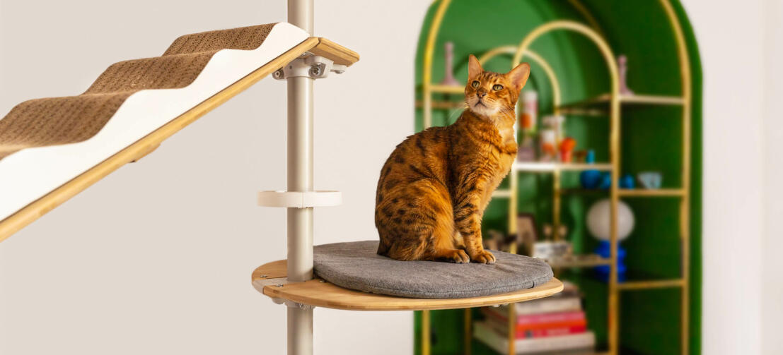Freestyle Floor to Ceiling Cat Tree Customisable Cat Tower Omlet
