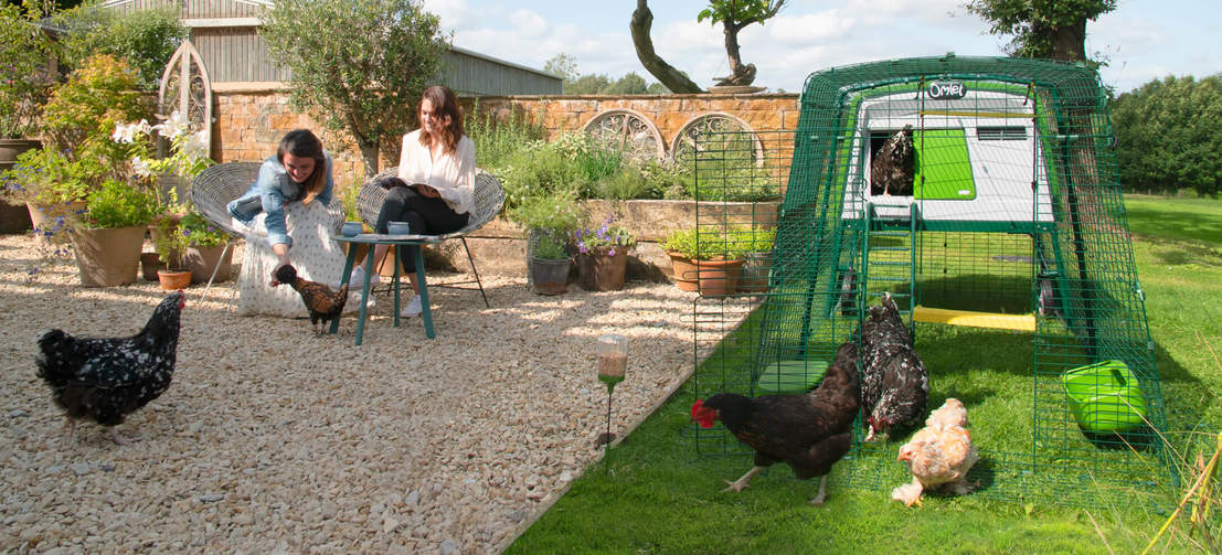Large Eglu Cube Chicken Coops and Runs Easy to Clean Safe Hen House