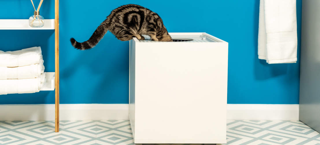 Cat Climbing in Maya Cat Litter Box Furniture Jump On