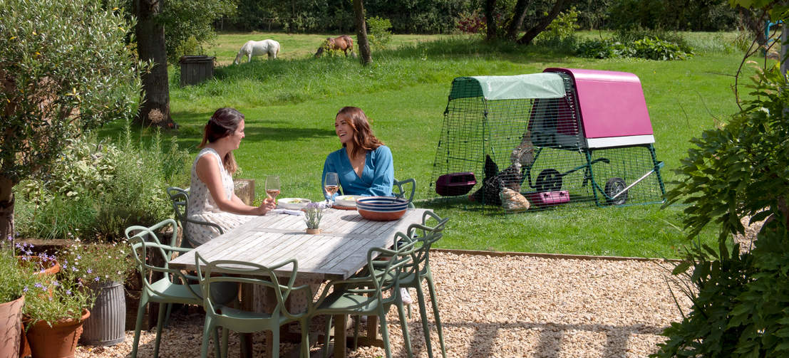 Two people enjoying having chickens in their garden