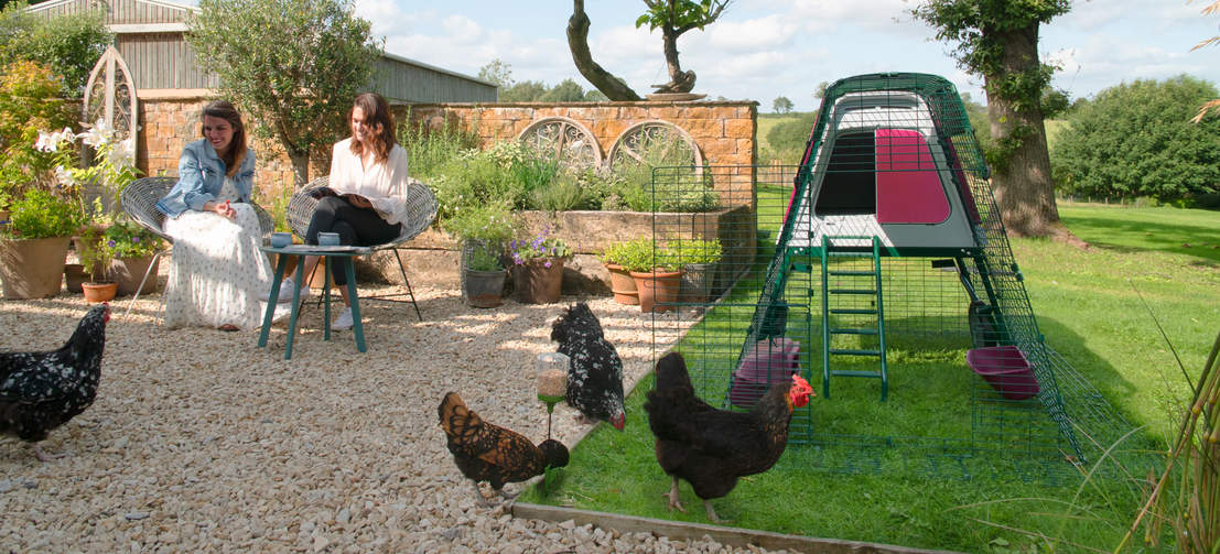 Two women spending time with their chickens.