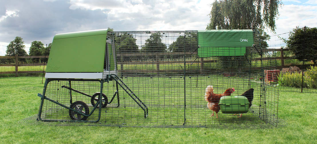 An Eglu Go UP modern chicken coop with run extension.