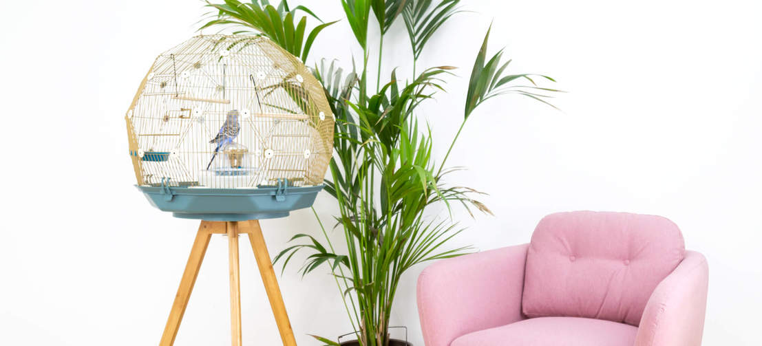Omlet Geo Bird Cage with Gold Cage, Teal Base and Tall Legs with Plant and Sofa