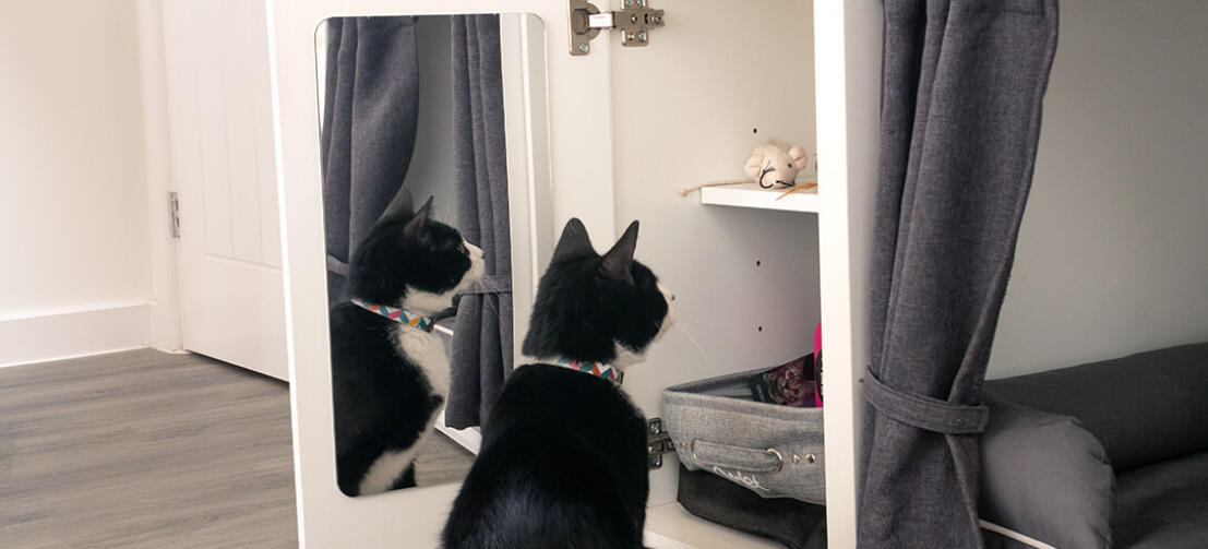 Cat peeking in Omlet Maya Nook Cupboard with Mirror