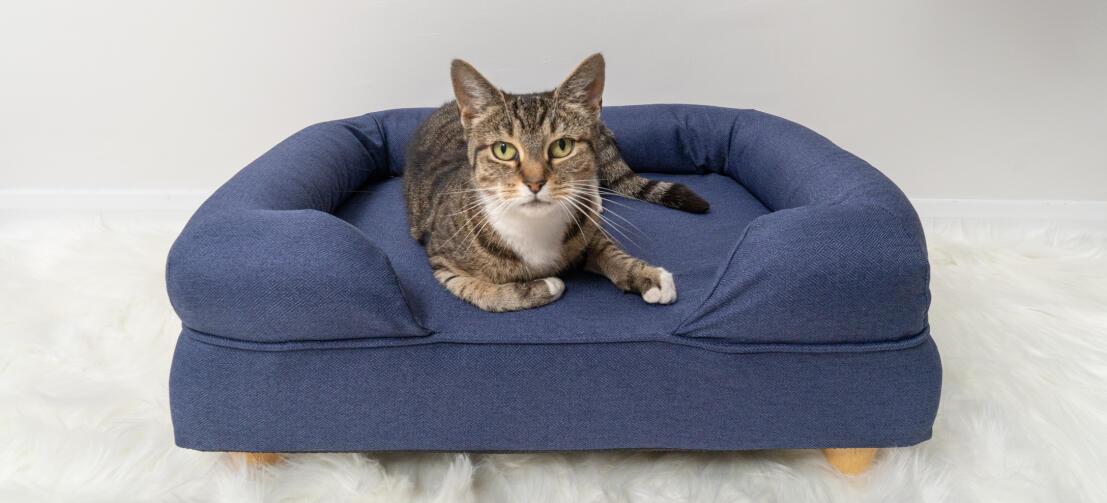 Memory Foam Bolster Cat Beds | Omlet