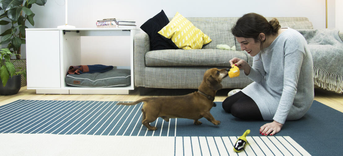 Giving your dog its own area, like the Omlet Fido Nook , has been shown to improve its confidence and general behaviour.