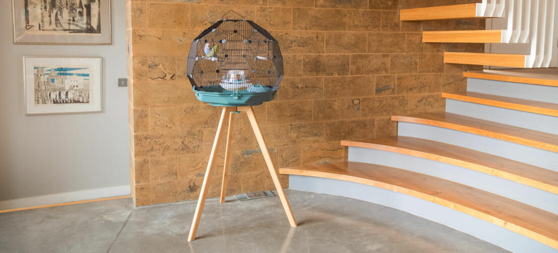 a geo bird budgie cage in a home with a large staircase